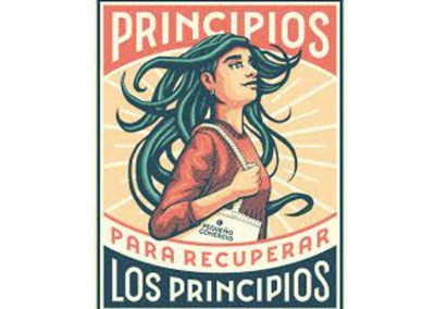 Campaña «Principios para recuperar los principios»